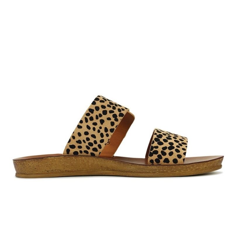 Los Cabos Doti Slide