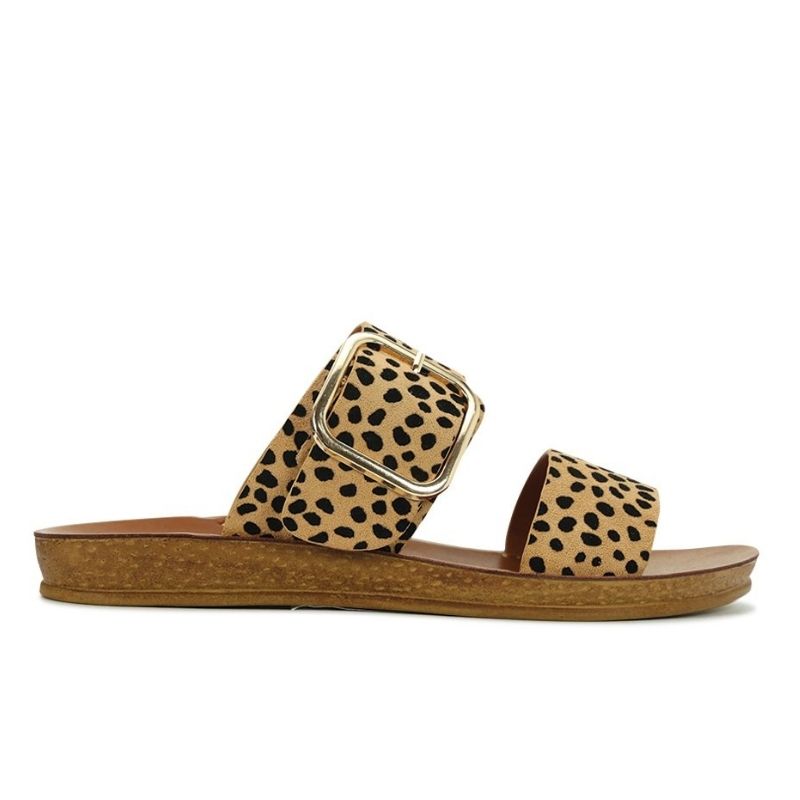 Los Cabos Doti Slide