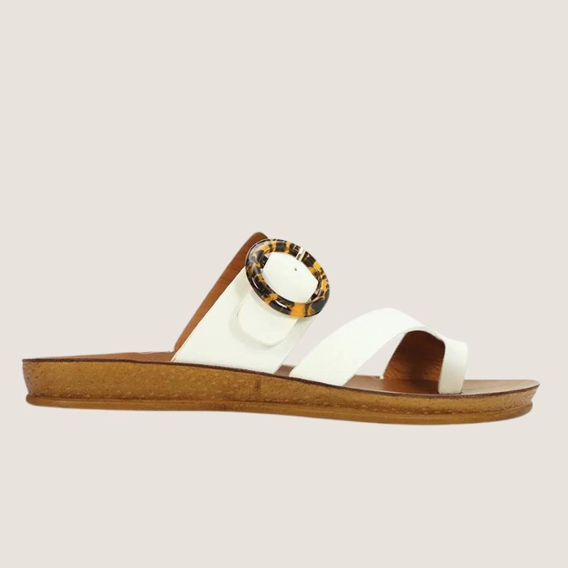 Los Cabos Dotsie Slide