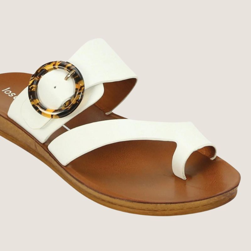 Los Cabos Dotsie Slide