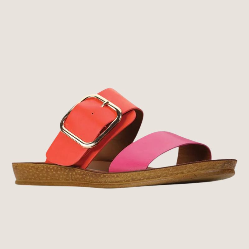 Los Cabos Doti Slide