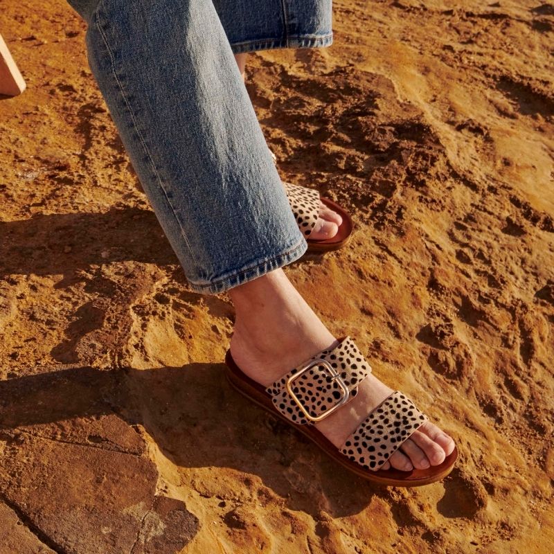 Los Cabos Doti Slide