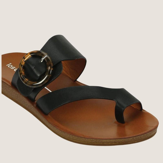 Los Cabos Dotsie Slide